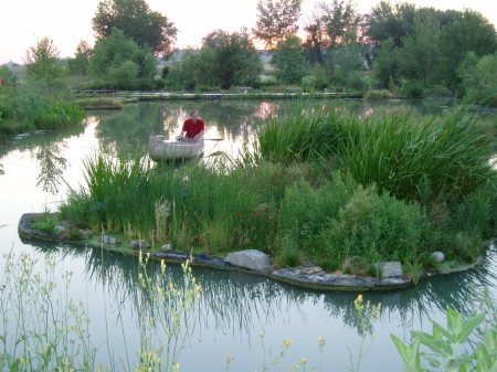 Une île flottante qui dépollue