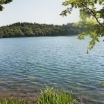 pavin-5