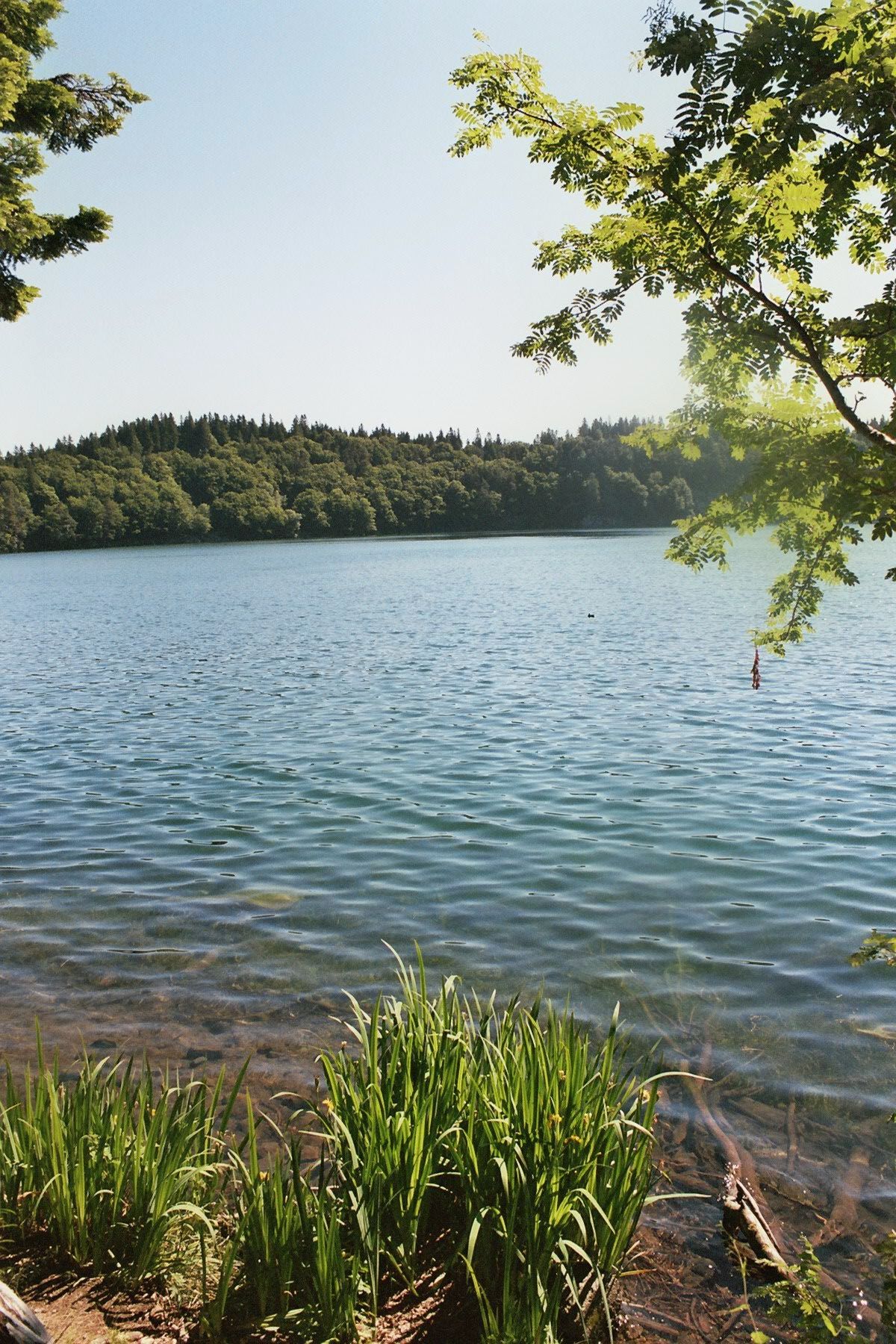 Pourquoi les lacs disparaissent-ils ?