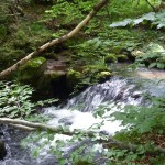 cascade-chiloza-1