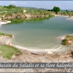 lesmartressaladis