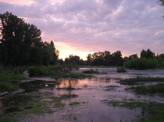 Le méandre de Précaillé