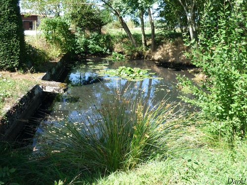 eauvergnat-lavoir-mini