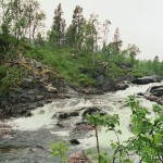 parc national Ånderdalen