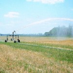 irrigation-aspersion