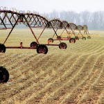 irrigation-champs