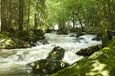 montagne-bourbonnaise-cascade pisserrote eauvergnat