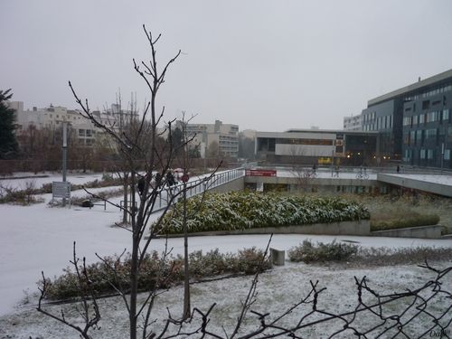 Neige-14-d%C3%A9cembre-p%C3%B4le-tertiaire-1.jpg