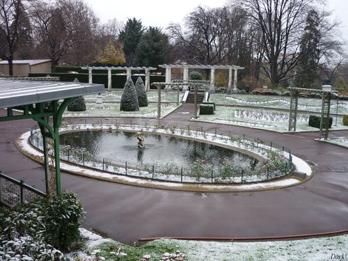 Neige jardin lecoq 14 décembre 2009 1