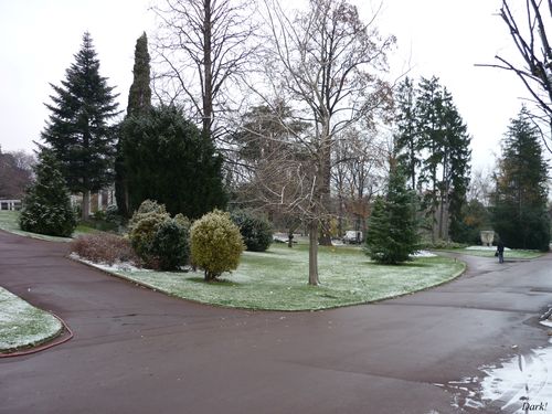 Neige jardin lecoq 14 décembre 2009