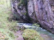 Pas de cère Pas de cère