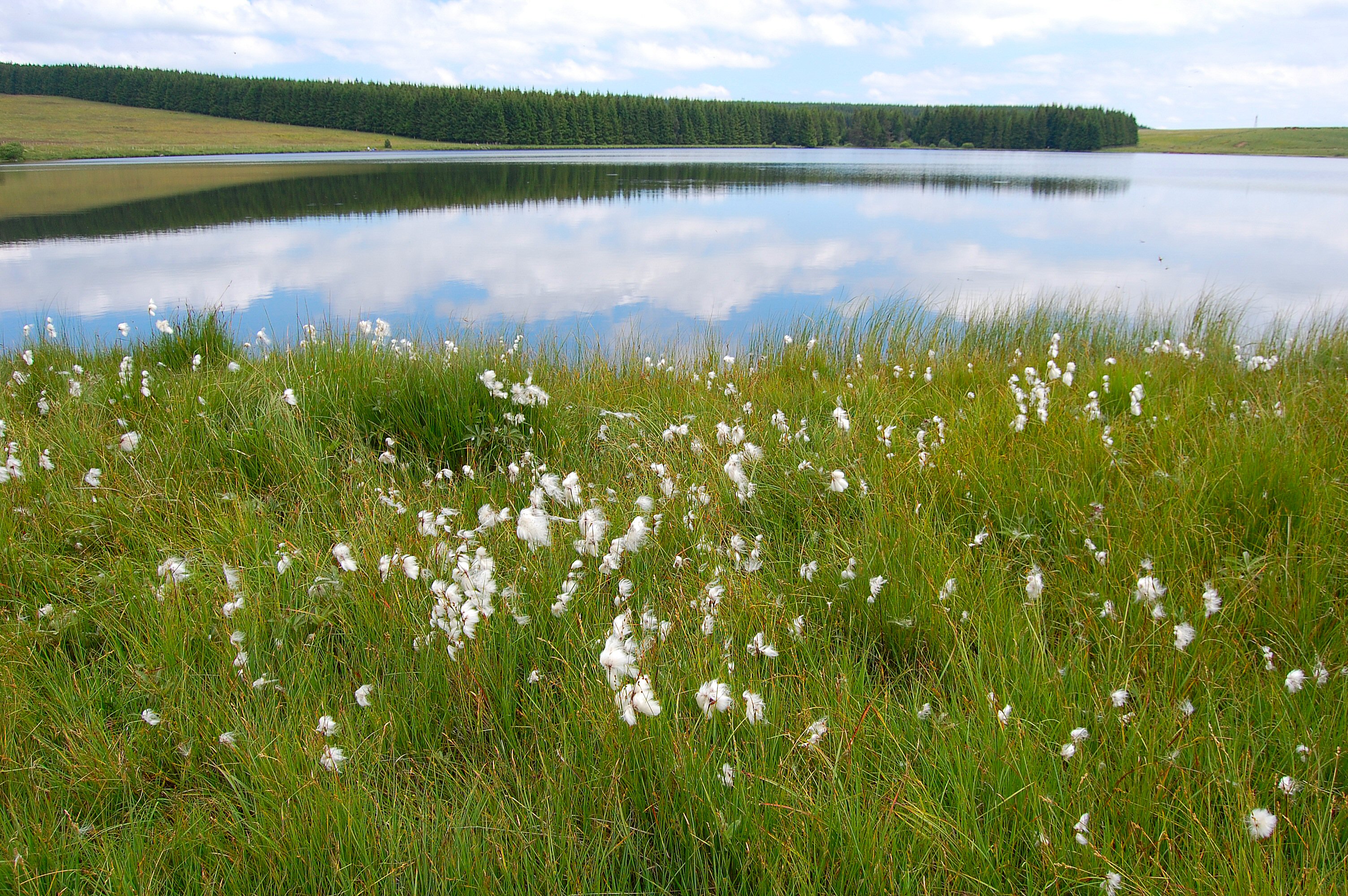 Le Lac de Bourdouze