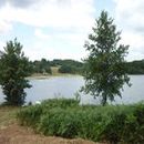 Lac d'Aubusson d'auvergne (12)