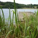 Lac d'Aubusson d'auvergne (16)