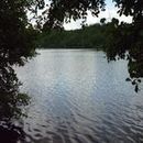 Lac d'Aubusson d'auvergne (19)