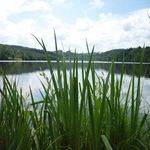 Lac d'Aubusson d'auvergne (2)