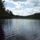 Lac d'Aubusson d'auvergne (21)