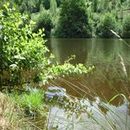 Lac d'Aubusson d'auvergne (25)