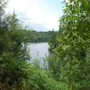 Lac d'Aubusson d'auvergne (37)