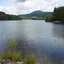 Lac d'Aubusson d'auvergne (38)