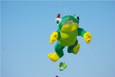 De drôles de bêtes dans le ciel de Clermont