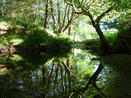 Le Miodet petite rivière du Livradois