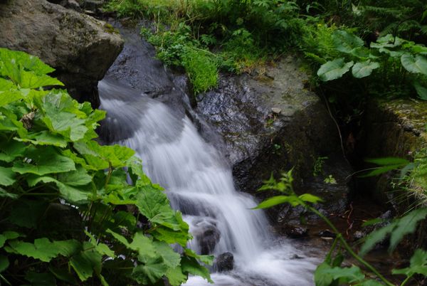 ruisseau-de-la-grande-cascade 600