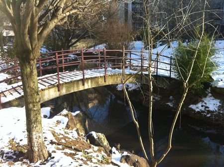 La Tiretaine entre neige, eau et glace