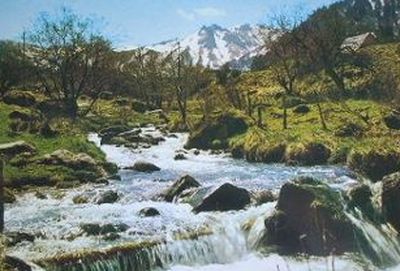 carte postale Dordogne sancy