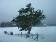 La plaine de Laschamps entre neige et vent