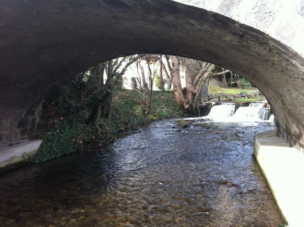 Tiretaine cébazat parc (13)