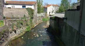 Tiretaine centre de Chamalières 290 (3)