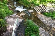 Artière Parc du pourliat Beaumont 190 (2)