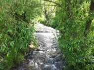 Artière Parc du pourliat Beaumont 190 (3)