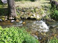 Artière Parc du pourliat Beaumont 190 (4)