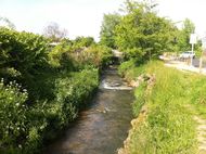 Artière Parc du pourliat Beaumont 190 (5)