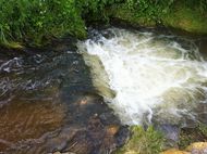 Artière Parc du pourliat Beaumont 190 (6)