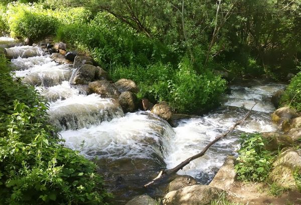 L'Artière dans le parc du Pourliat à Beaumont