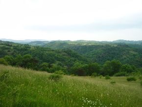 Gorges de la Monne (10) 290