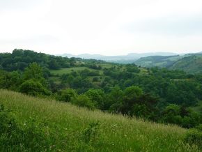 Gorges de la Monne (11) 290