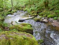 Gorges de la Monne (22) 190