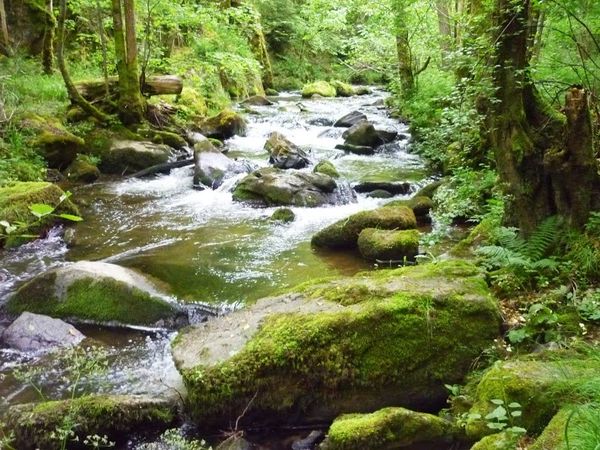 Les gorges de la Monne