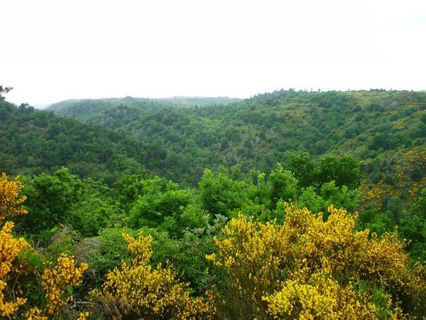 Gorges de la Monne (31)