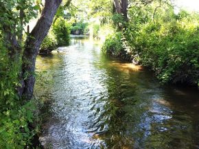 Le Bédat, la rivière du nord de Clermont-Ferrand