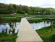 Lac d'Aydat (8) 190