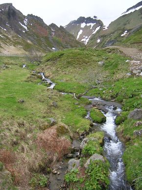 torrents affluents de la Dordogne massif du Sancy 290