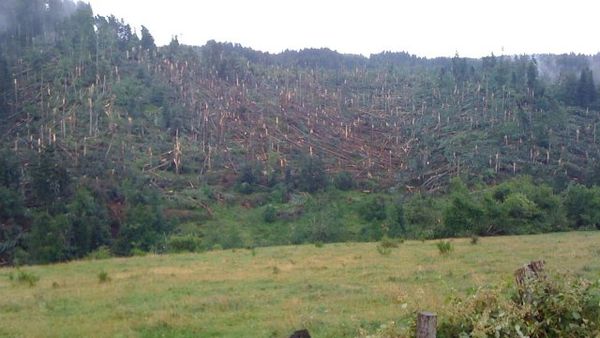 Tornade confirmée à Saint Alyre d'Arlanc le 28 juillet 2013