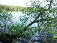 tour photos lac servières (22 190)