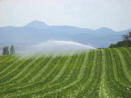 L'irrigation, une longue histoire