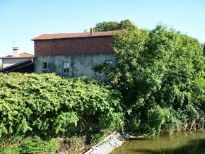 confluence Bédat Morge (5) 290